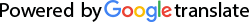 google translate logo 